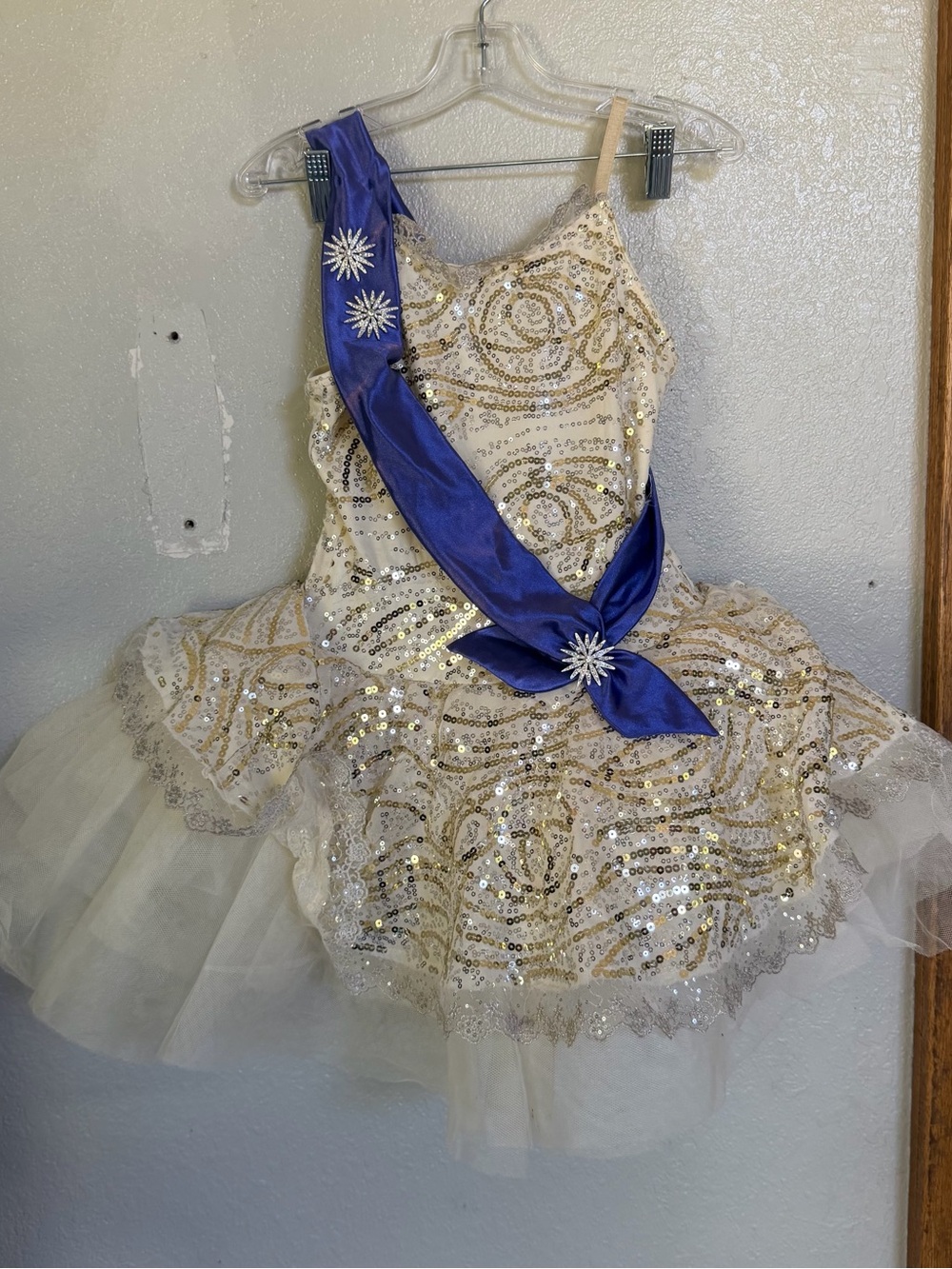 Sparkle Tutu Costume with Royal Blue Sash